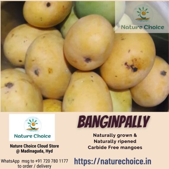 Banginpally Mangoes -- 12kgs Pre Booking