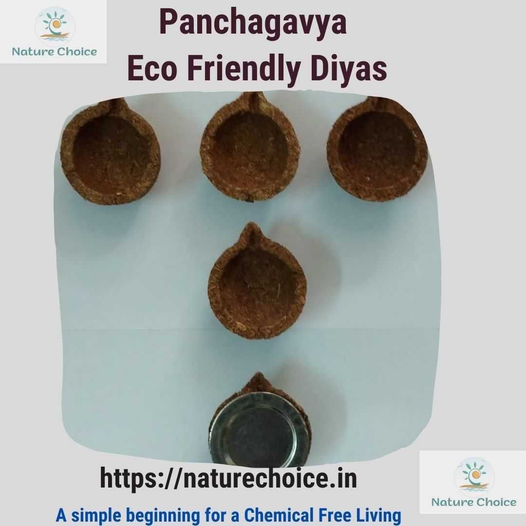 Panchagavya Eco Friendly Diyas