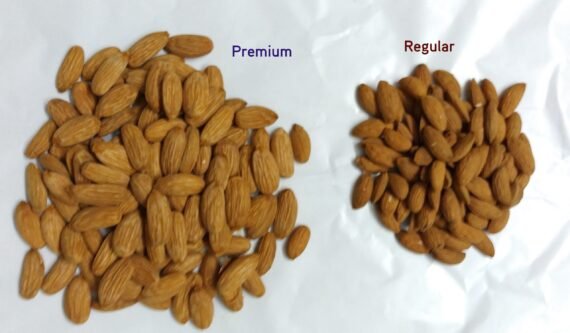 Indian Mamra Badam / Almond Premium Variety - Image 2