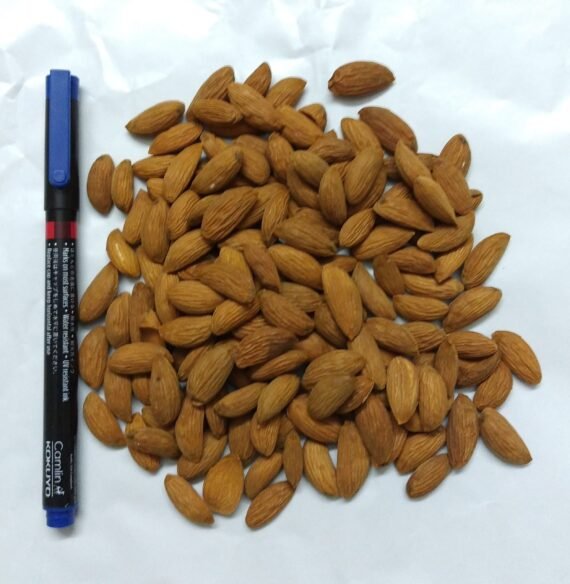 Indian Mamra Badam / Almond Premium Variety - Image 3