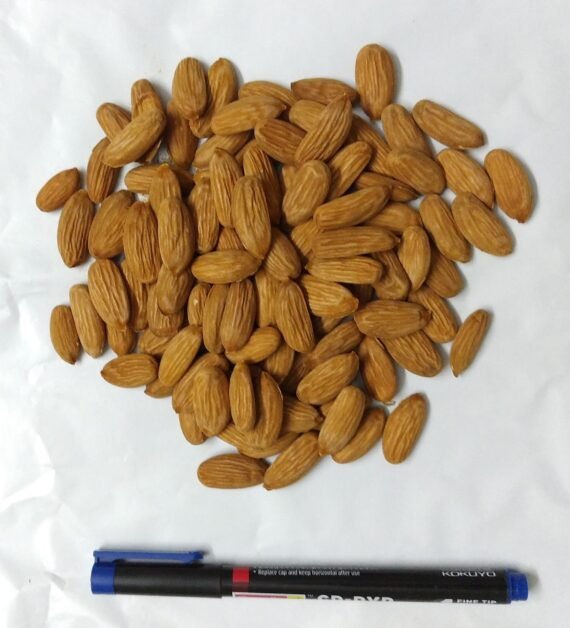 Indian Mamra Badam / Almond Premium Variety - Image 5