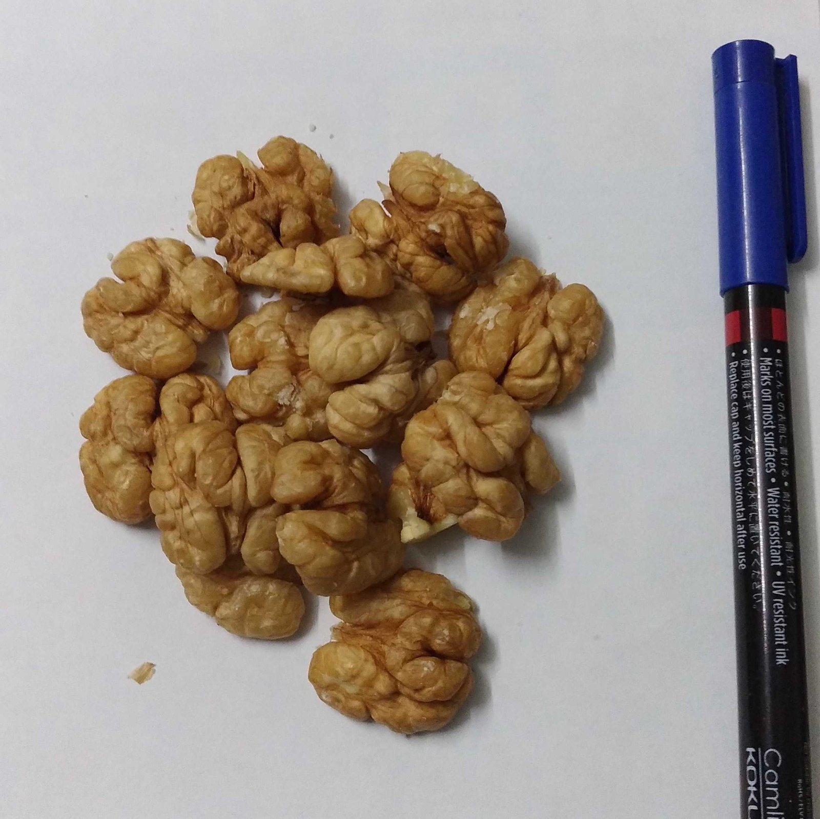 Walnut Kernels Extra Premium - 450 Gms - Image 3