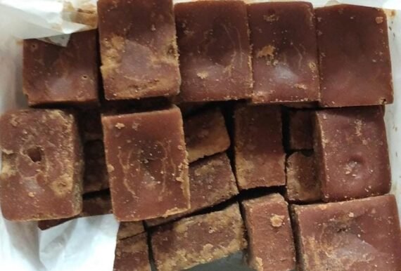 Wild Date Palm Jaggery