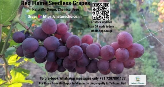 Organic Red Flame Seedless Grapes natural
