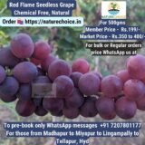 Organic Red Flame Fresh Grapes