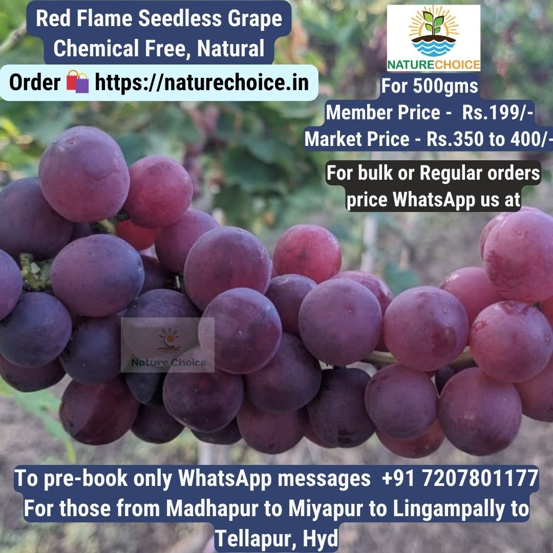 Organic Red Flame Fresh Grapes
