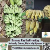 Organic Banana Rasthali