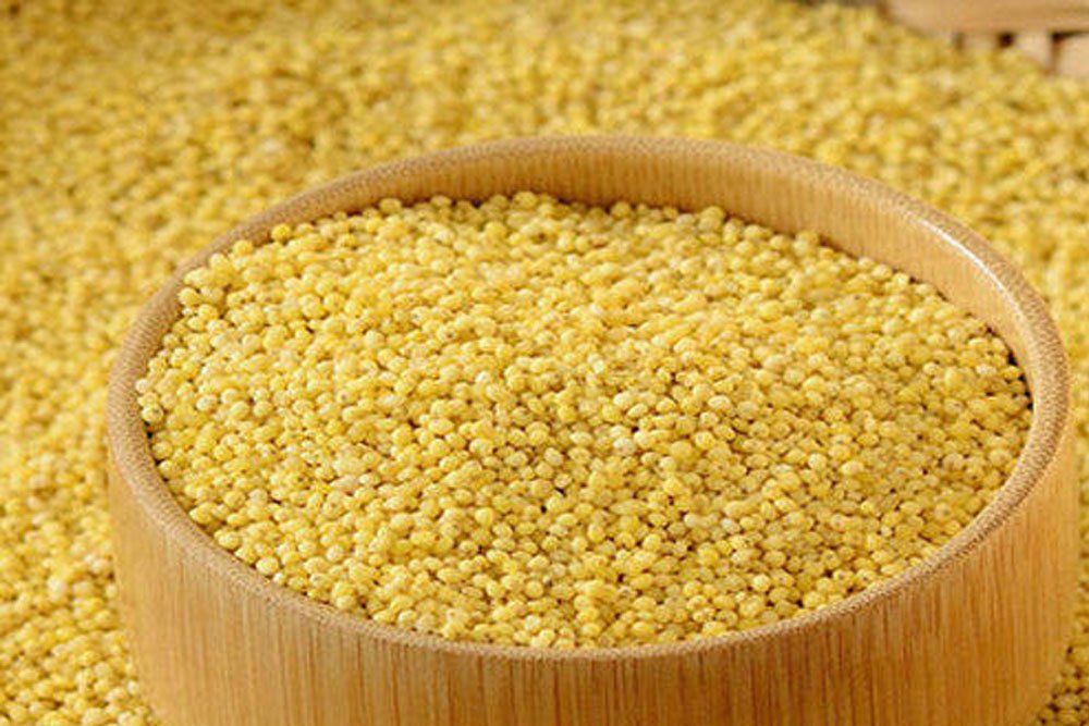 foxtail-millet-rice-nature-choice-enterprises